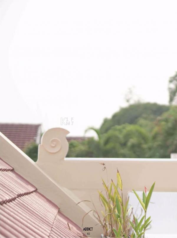 Addict--The-Premium-Issue